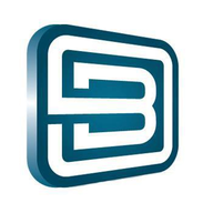 Online Brands Logo Mark